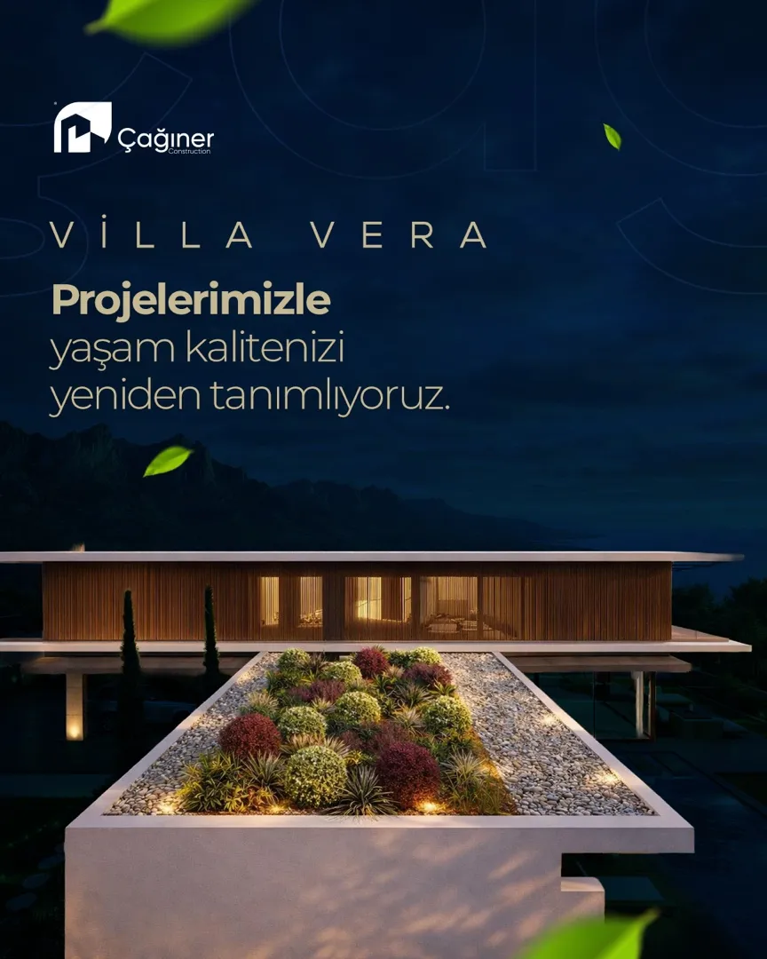 Caginer sosyal medya 2 — Çağıner