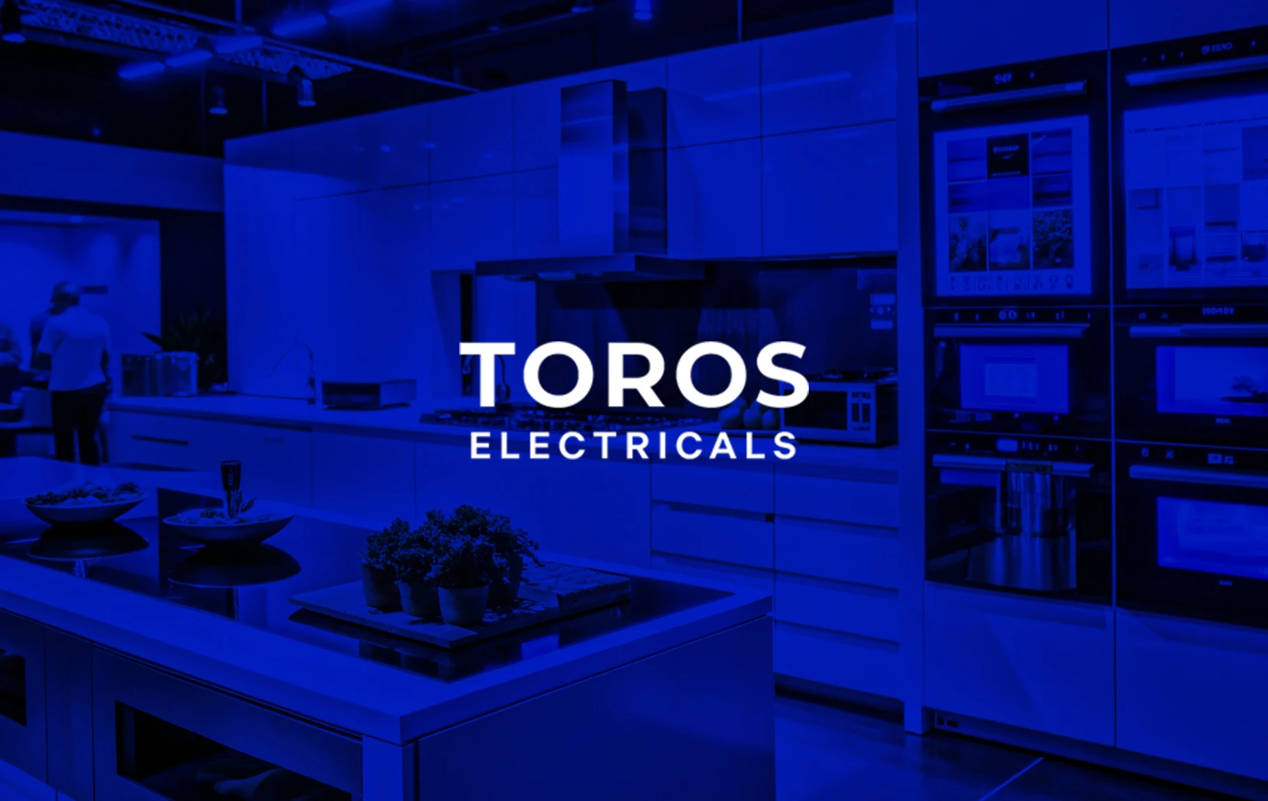 Toros Electricals